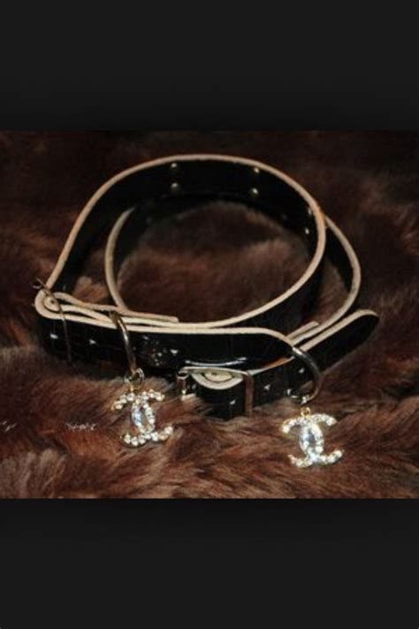 chanel dogs|chanel collars for dogs.